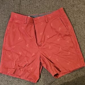 Amazon Essentials Men's Brick Red Flat Front Shorts
